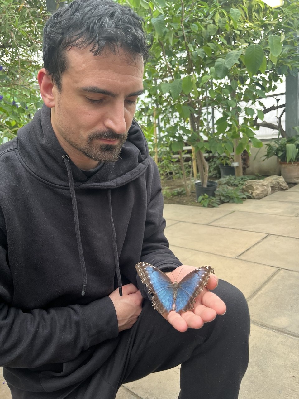 Antonio Gison holding a blue morpho butterfly
